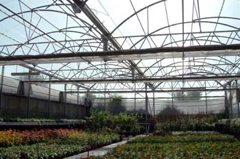 Invernadero de mantenimiento