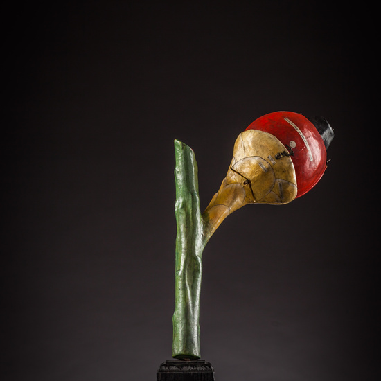 IES_ISABELLACATOLICA_BIOLOGIA_158