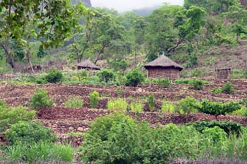 Vegetación y cabañas, Rep. de Djibouti, áfrica