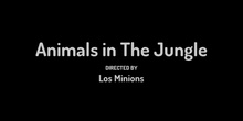 ANIMALS IN THE JUNGLE