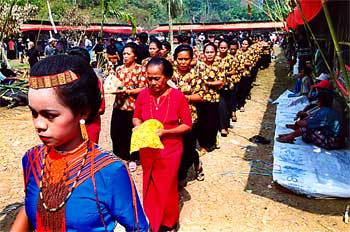 Procesión de mujeres, Sulawesi, Indonesia