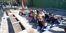 L@s alumn@s de Infantil 4 años en el huerto_CEIP FDLR_Las Rozas