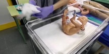 Toma de muestras oxiuros en bebe