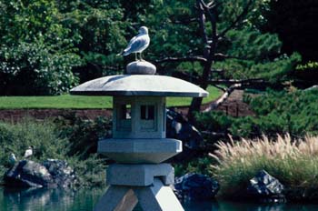 The Chinese Garden del Jardín Botánico de Montreal, Canadá