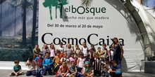 Visita a la exposición El Bosque. 1º 2º Primaria. CEIP Pinocho. 2016/17 30