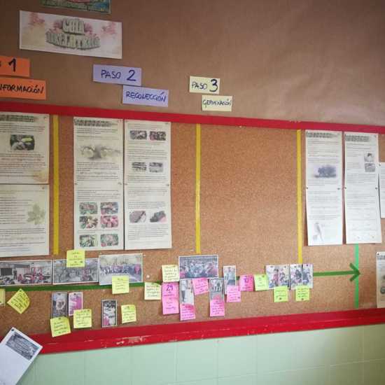 TABLERO KANBAN PROYECTO PLANTAR SEMILLAS