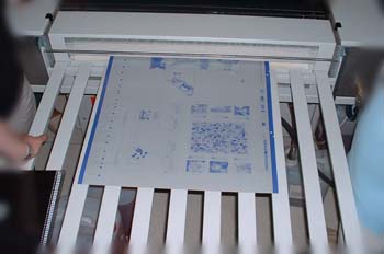 Salida de plancha procesada