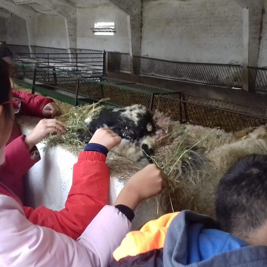 Albergue 5º- 3º día (mañana) 25