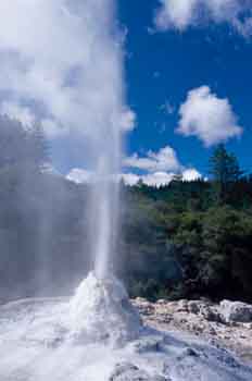 Géiser, Rotorua, Nueva Zelanda