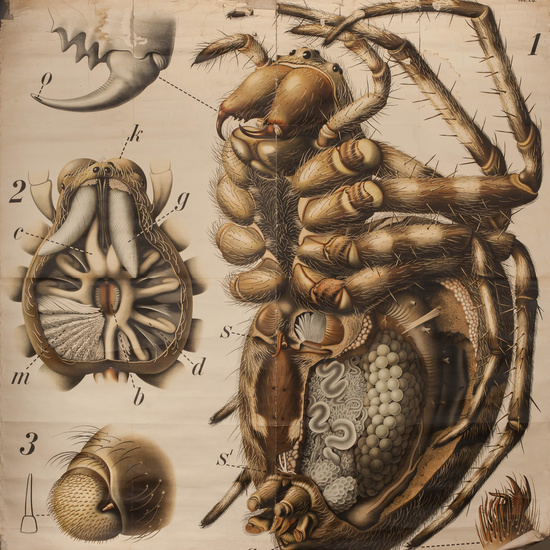IES_RAMIRODEMAEZTU_BIOLOGIA_018