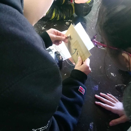 PW 6º IES PARQUE LISBOA 2019-2020 21