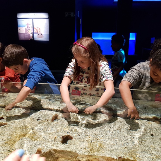 Aquarium Xanadú II 3ºB  21