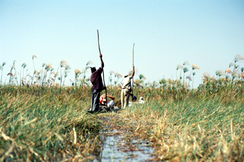 Mokoreros, Botswana