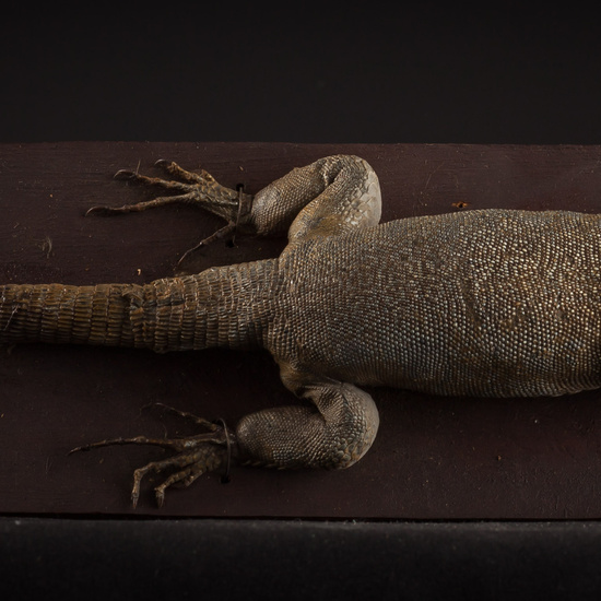 IES_SANISIDRO_BIOLOGIA_427