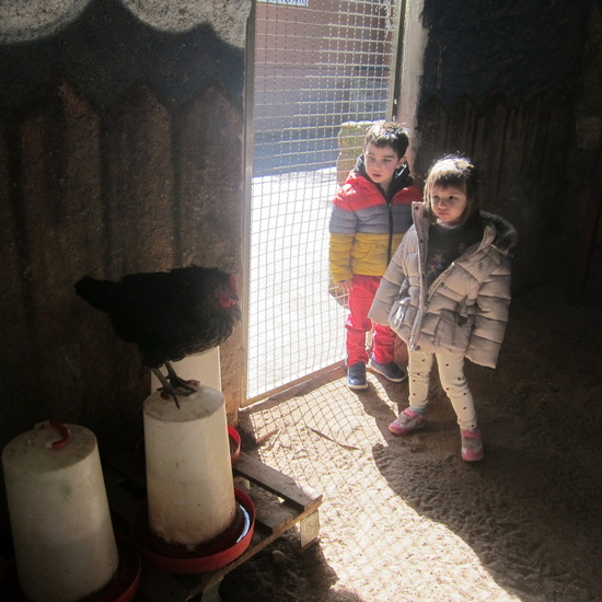 Granja Escuela Educación Infantil Curso 2017-18 45