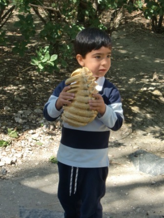 Infantil 4 años en Arqueopinto 2ª parte 39