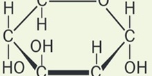 2-D-Glucosamina