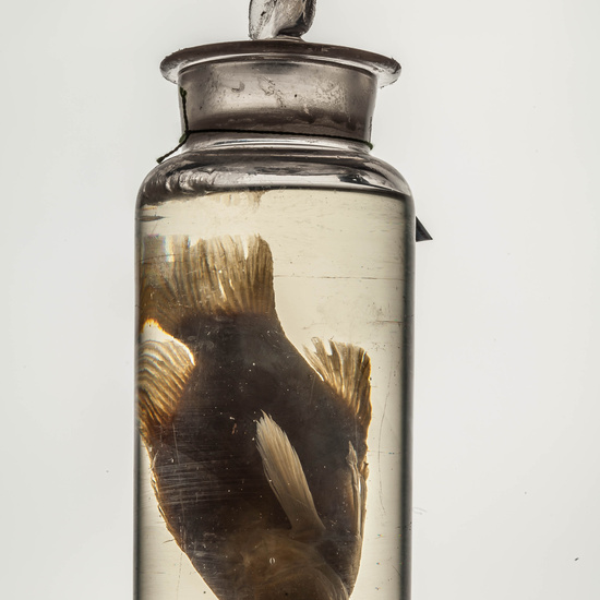 IES_CARDENALCISNEROS_CIENCIASNATURALES_157