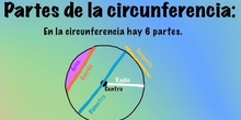El círculo y la cincunferencia