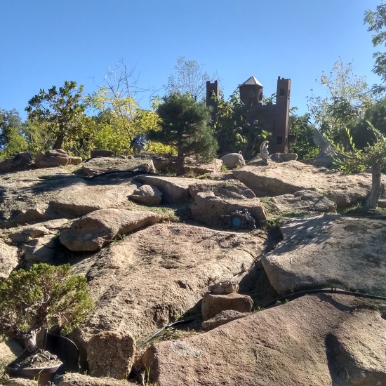 Excursión bosque encantado 8