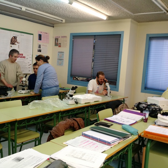 Usando el microscopio 13