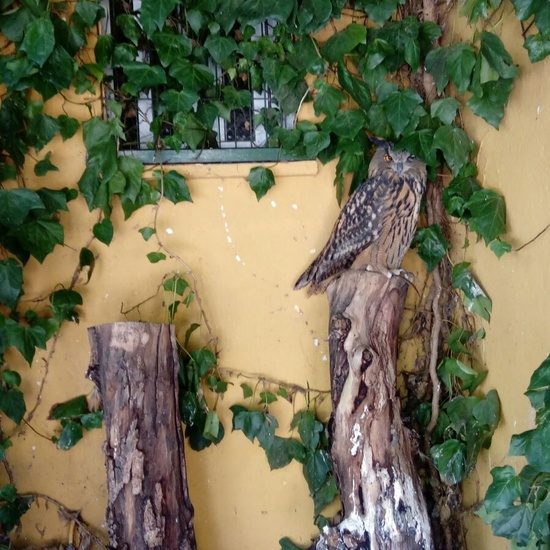 Granja Escuela 1º y 2º EP 2017-18_24_3 1