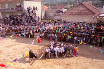 Capea raiana, Concejo de Sabugal, Portugal