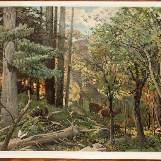 IES_CARDENALCISNEROS_ESPACIOSNATURALES_LAMINAS_011