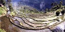 Campos de cultivo aterrazados, Sikkim, India