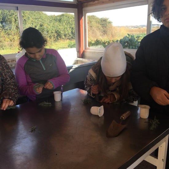 Albergue 6º - 3º día (mañana) 8