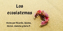 Proyecto STEM "Los escosistemas"