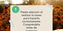 Instrucciones T5 canva
