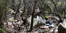 NIÑAS/OS DE 5º. NATURALEZA VIVA EN LA PEDRIZA. HOSTOS POR EL PLANETA 11
