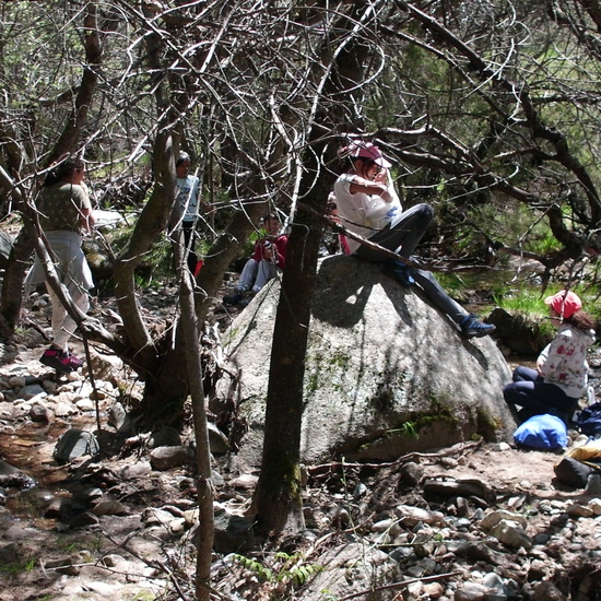 NIÑAS/OS DE 5º. NATURALEZA VIVA EN LA PEDRIZA. HOSTOS POR EL PLANETA 11