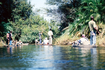 Paseo en Canoas, Botswana