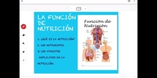 FUNCIÓN DE NUTRICIÓN