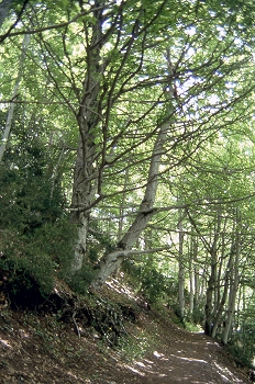 Paso del Onso, Pirineo oscense