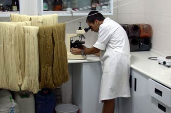 Laboratorio de teñido