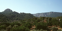 Paisaje de montaña