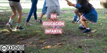 Infografía A. Cooperativo Ed. Infantil