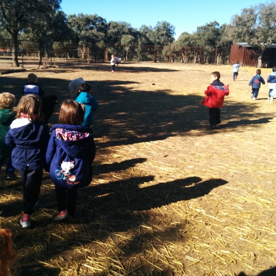2016_inf 4 años a visita la granja 20