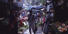 Mercado de flores, Calcuta, India