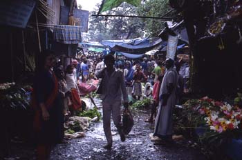 Mercado de flores, Calcuta, India