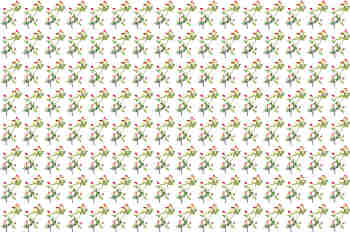 Repetición de doble de ocho