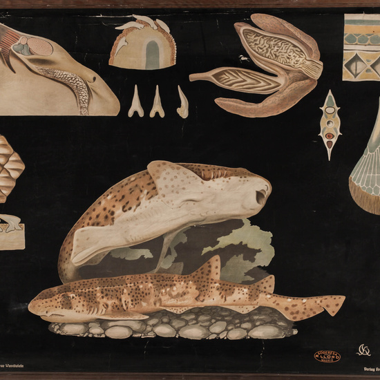 IES_LOPEDEVEGA_CIENCIASNATURALES_044