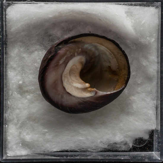 IES_ISABELLACATOLICA_BIOLOGIA_292