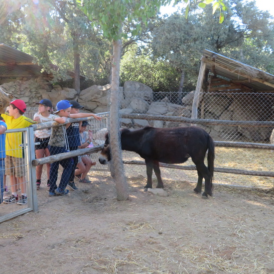 Granja Nuestra Tierra martes 11 21