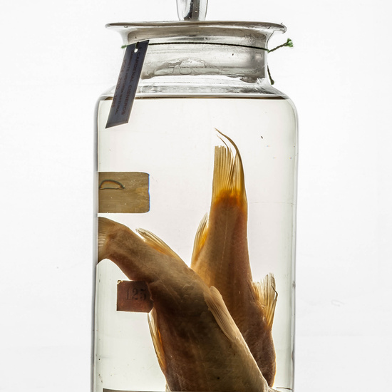 IES_CARDENALCISNEROS_CIENCIASNATURALES_359