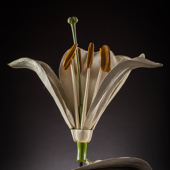 IES_SANISIDRO_MUSEO_Botanica_009