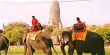 Elefantes en Ayutthaya, Tailandia